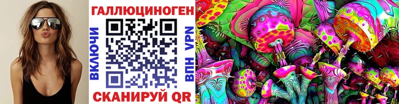 Псилоцибиновые грибы Cubensis  Высоцк 
